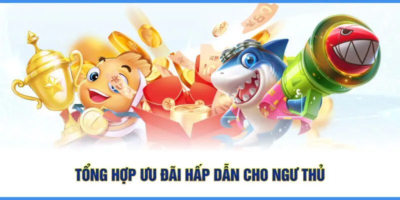 Tổng hợp ưu đãi hấp dẫn cho ngư thủ